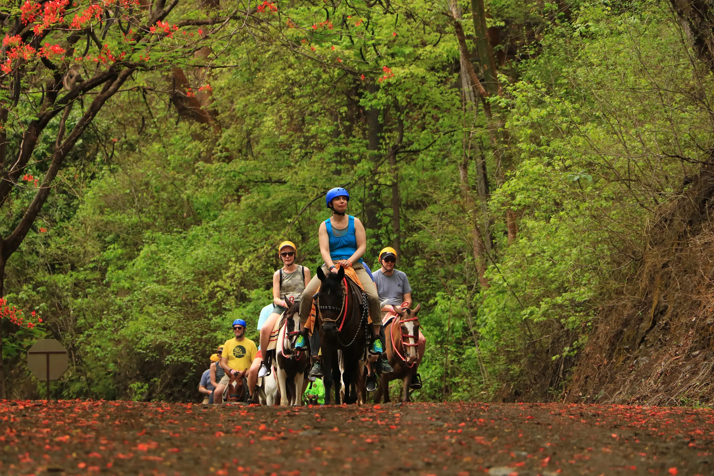 Horseback riding tour