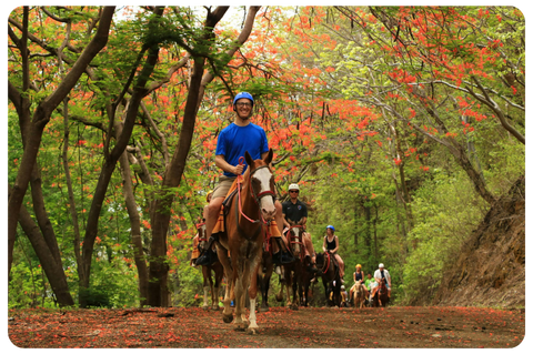 a person riding a horse in a forest