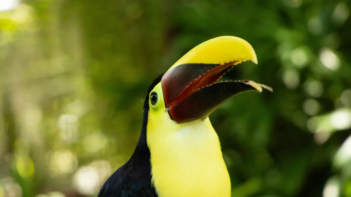 a small bird sitting on top of each other