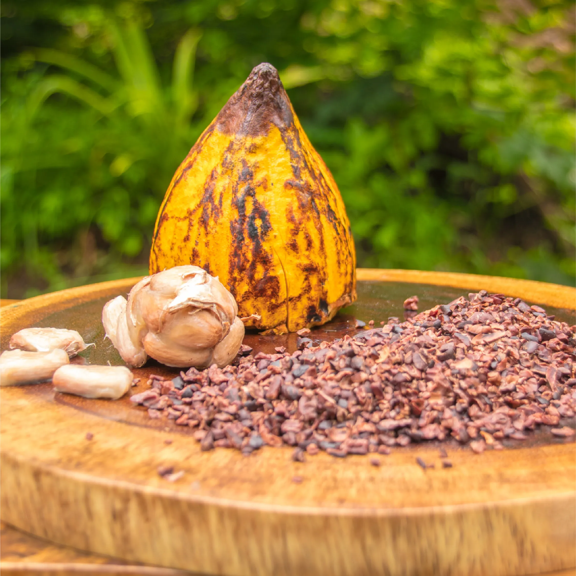 Cacao processing experience