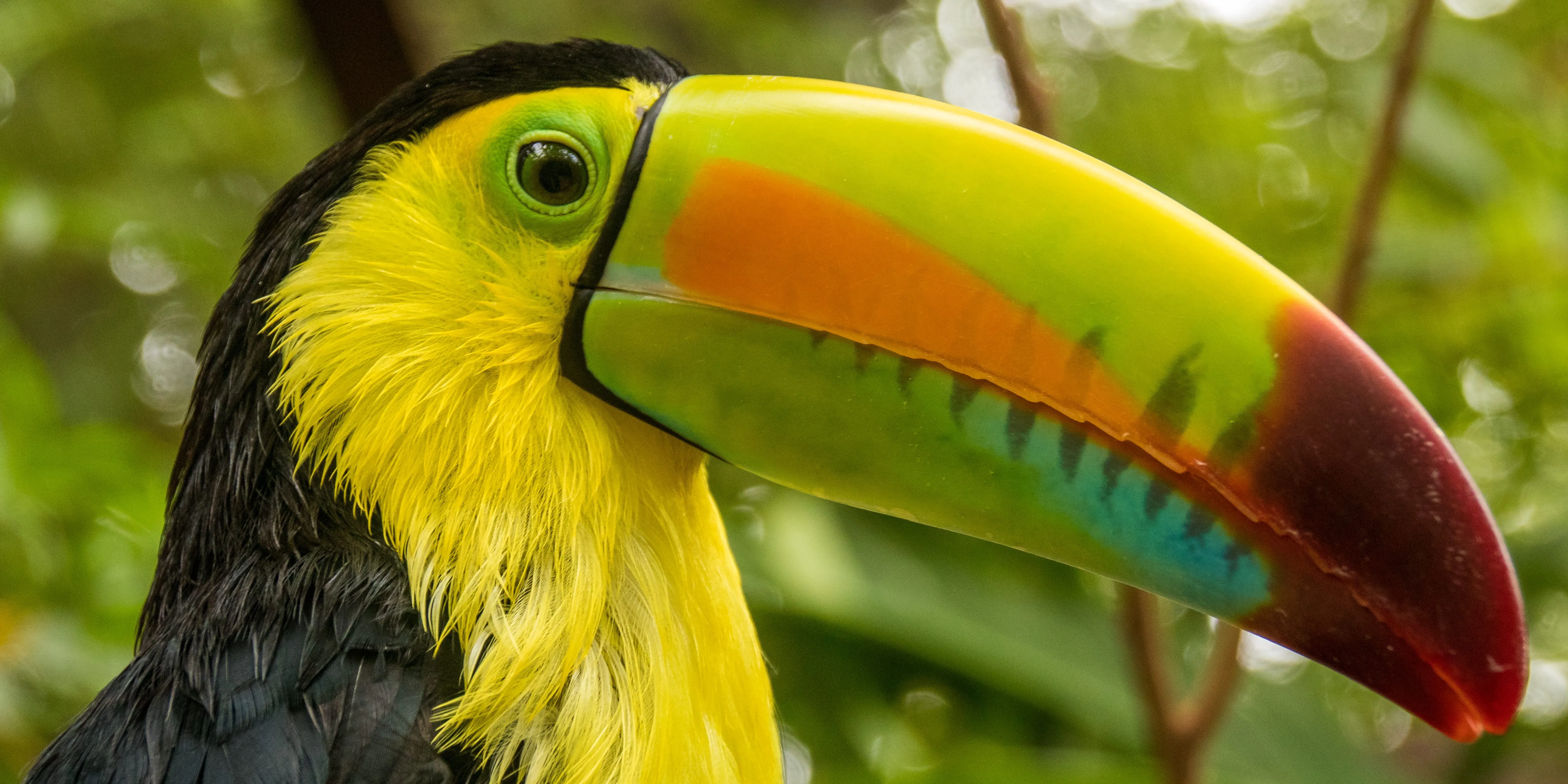 Wildlife at Diamante Animal Sanctuary